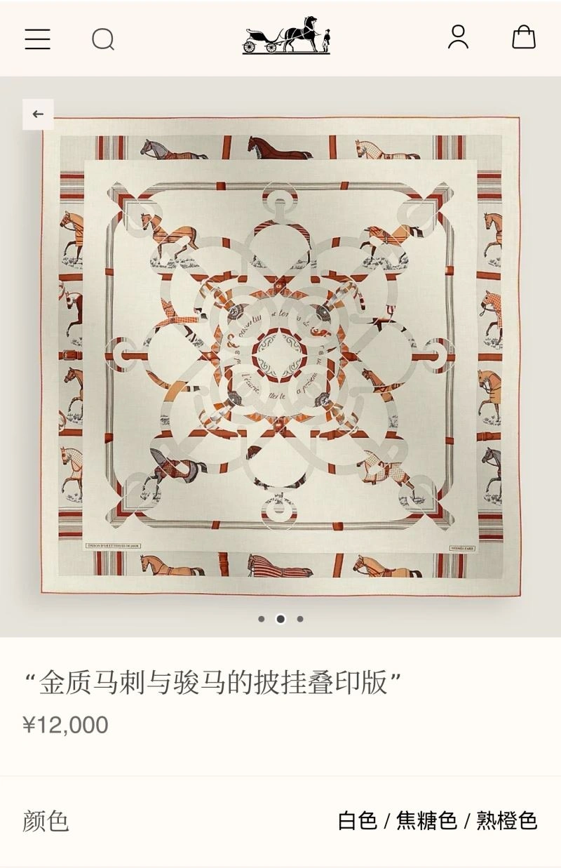 Hermes Scarf TechFriendly 270988