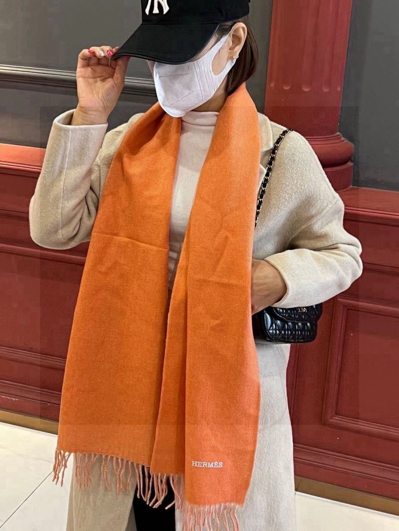 Supportive Hermes Scarf 270976