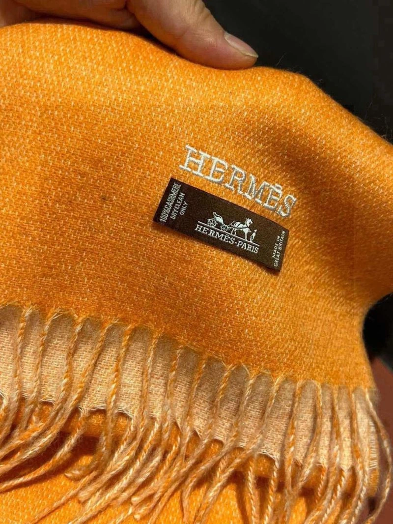 Supportive Hermes Scarf 270976