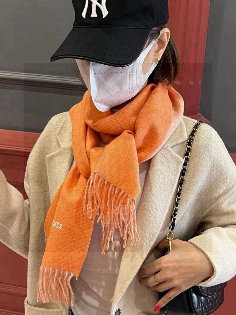 Supportive Hermes Scarf 270976