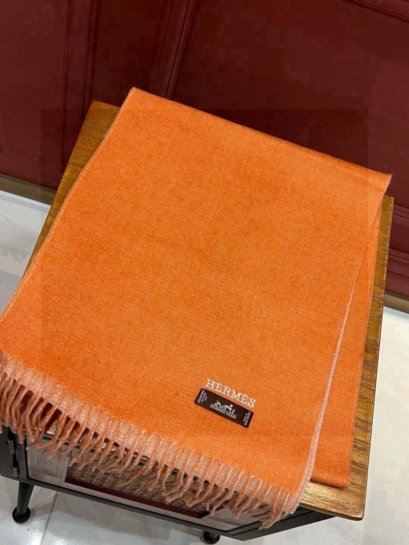 Supportive Hermes Scarf 270976