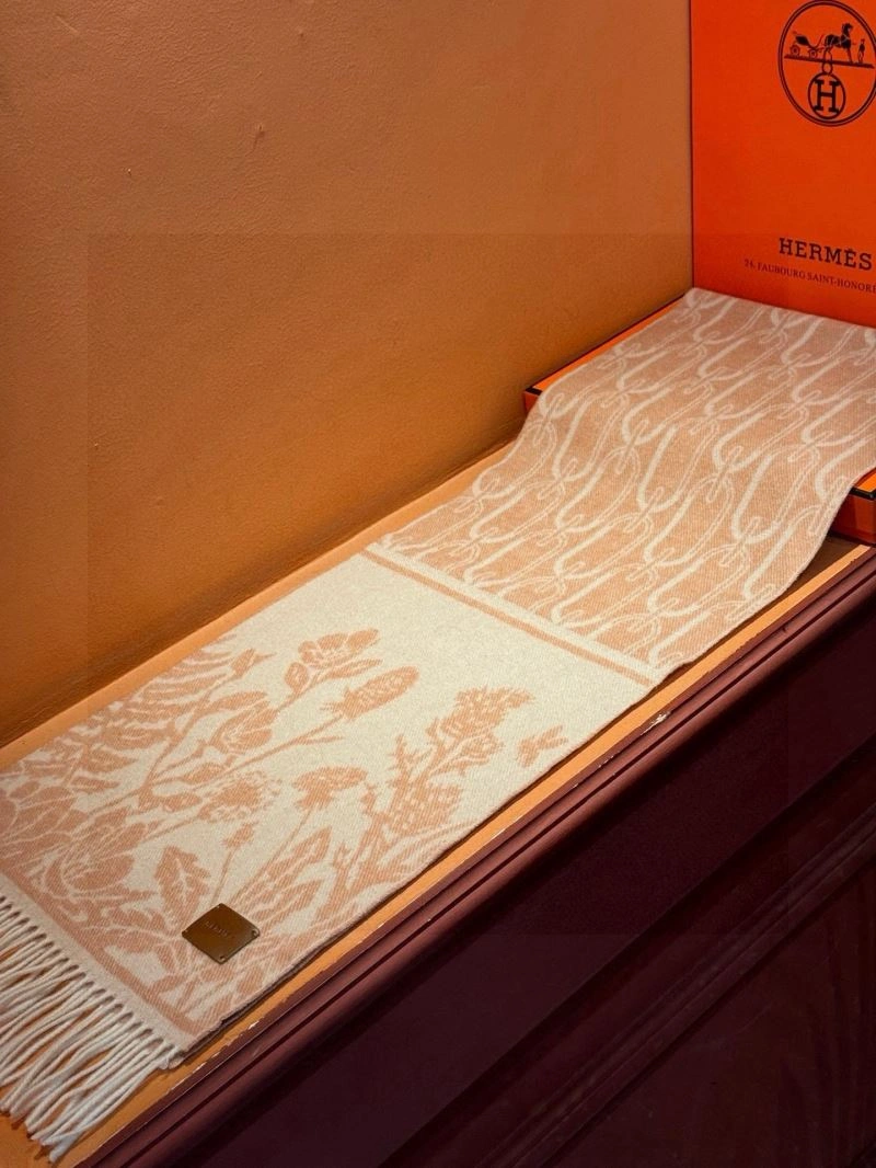 GoAnywhere Hermes Scarf 270950