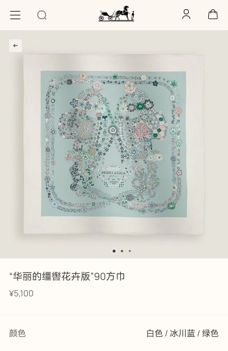 Hermes Scarf Resilient 271768