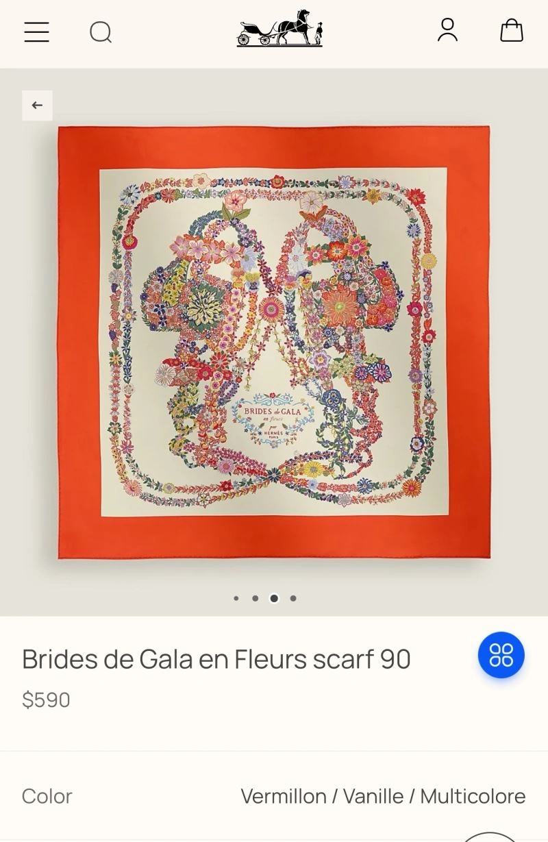 GoAnywhere Hermes Scarf 271766