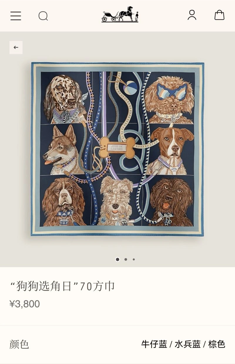 Chic Hermes Scarf 271767
