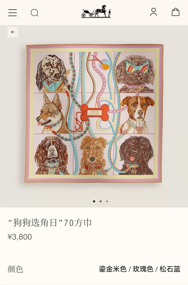 Hermes Scarf GoAnywhere 271764