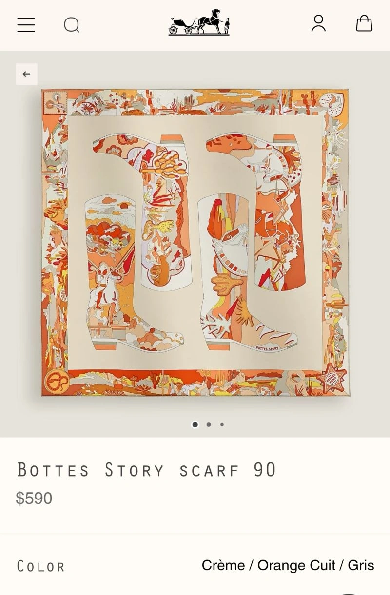 Bold Hermes Scarf 271773