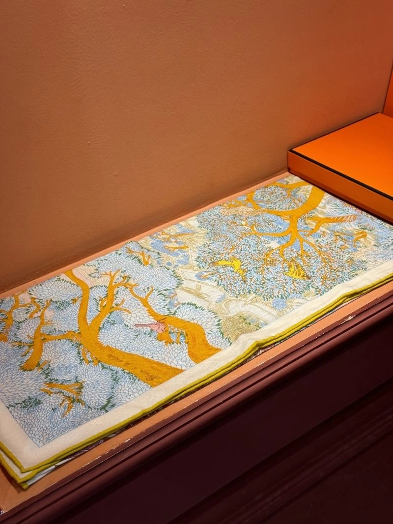 SmartChoice Hermes Scarf 271755
