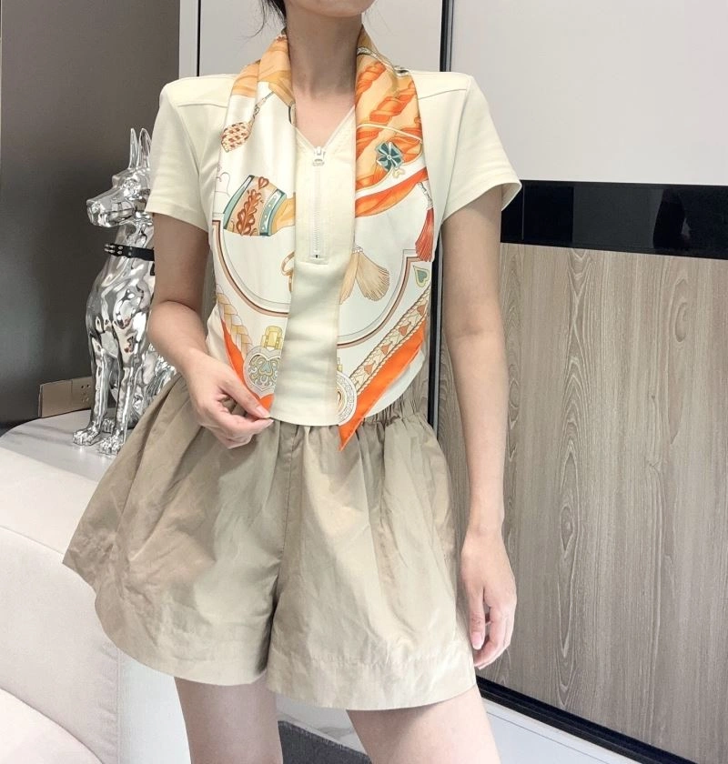 Hermes Scarf Vibrant 271730