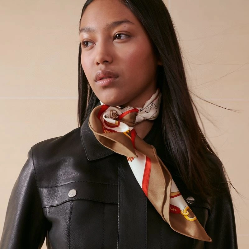 Hermes Scarf Durable 271719