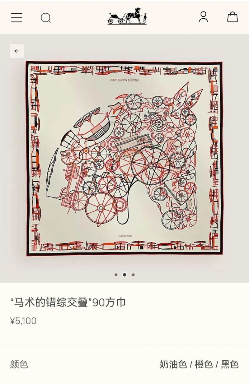 Hermes Scarf Sophisticated 271707