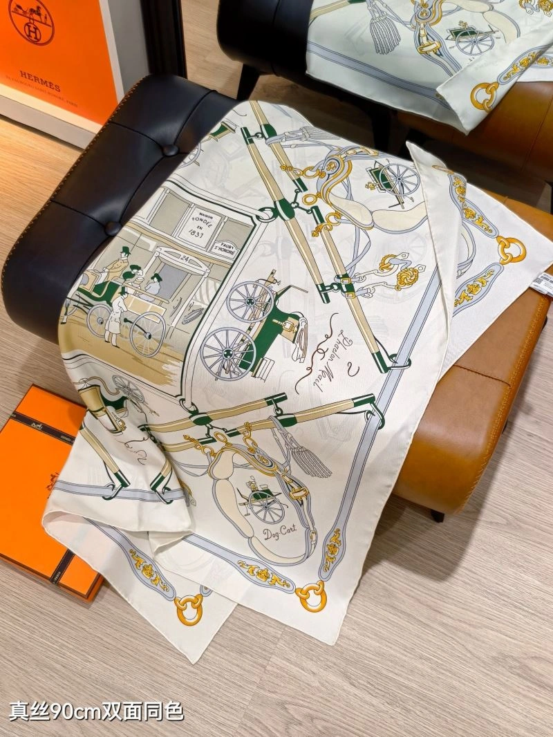 Hermes Scarf Packable 271710