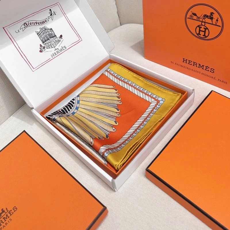 SmartChoice Hermes Scarf 271680