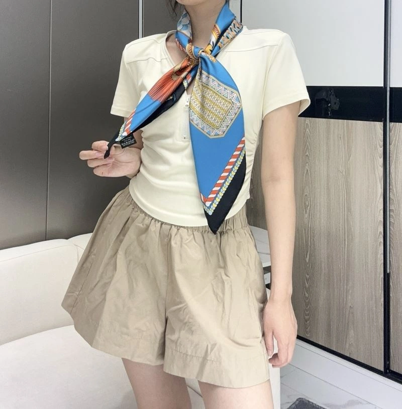 Compact Hermes Scarf 271673
