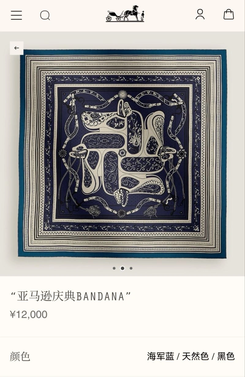 Supportive Hermes Scarf 271689