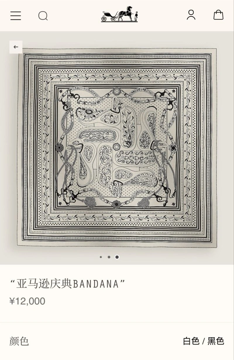 WrinkleFree Hermes Scarf 271693