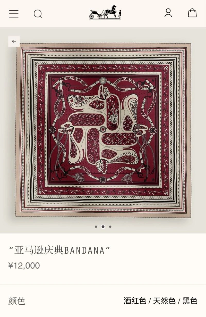 Hermes Scarf Sophisticated 271664