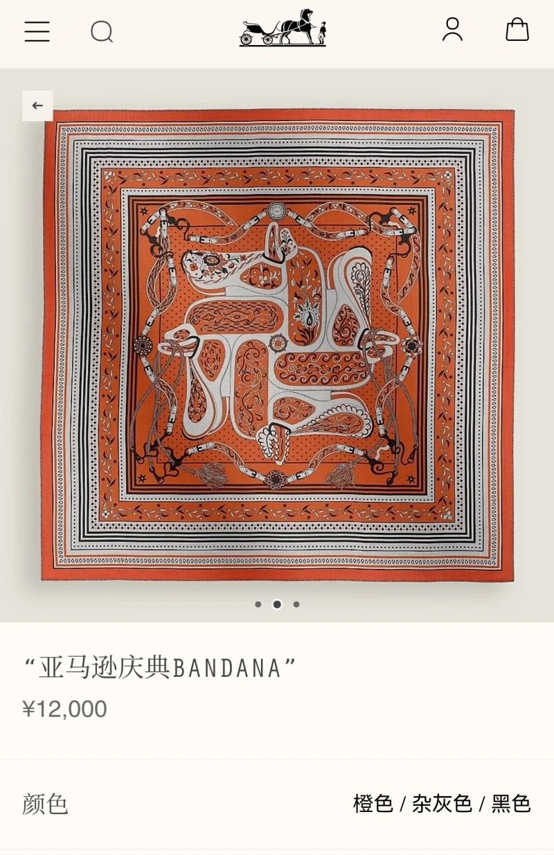 Hermes Scarf Thermal 271691