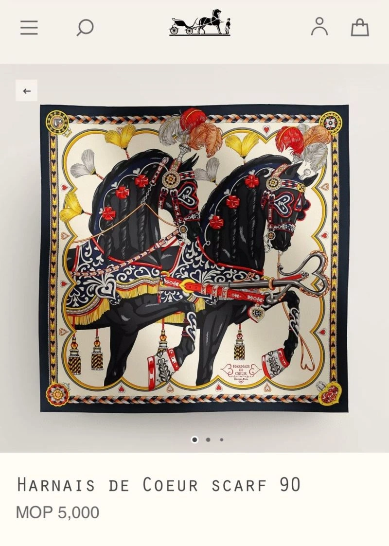 Hermes Scarf EasyMatch 271663