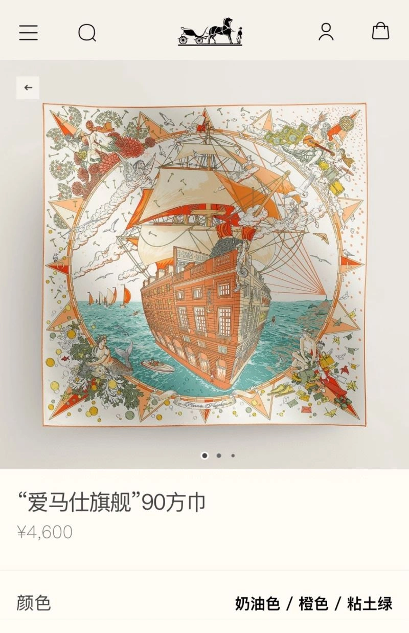 Hermes Scarf MultiPurpose 271659