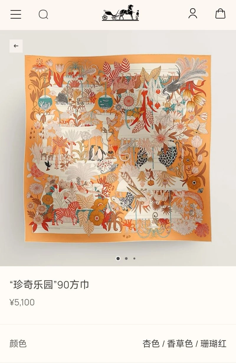 Packable Hermes Scarf 271655