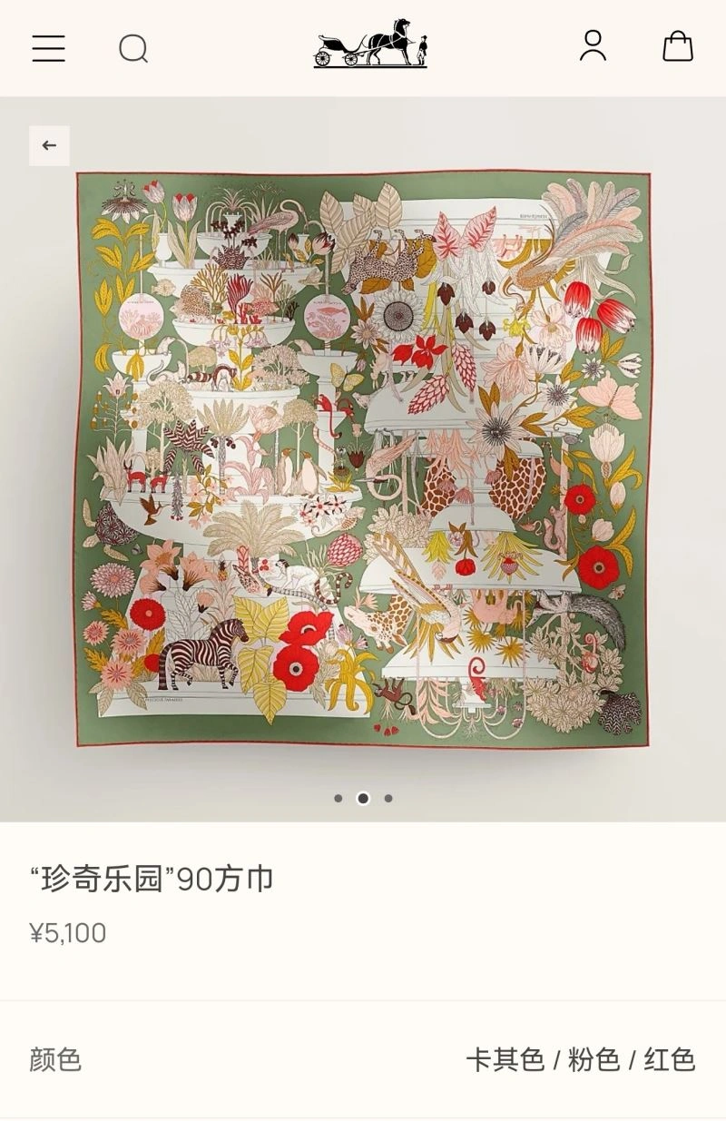 Practical Hermes Scarf 271654