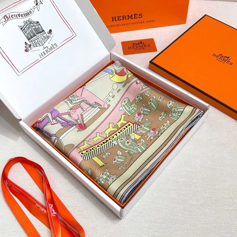 Supportive Hermes Scarf 271641