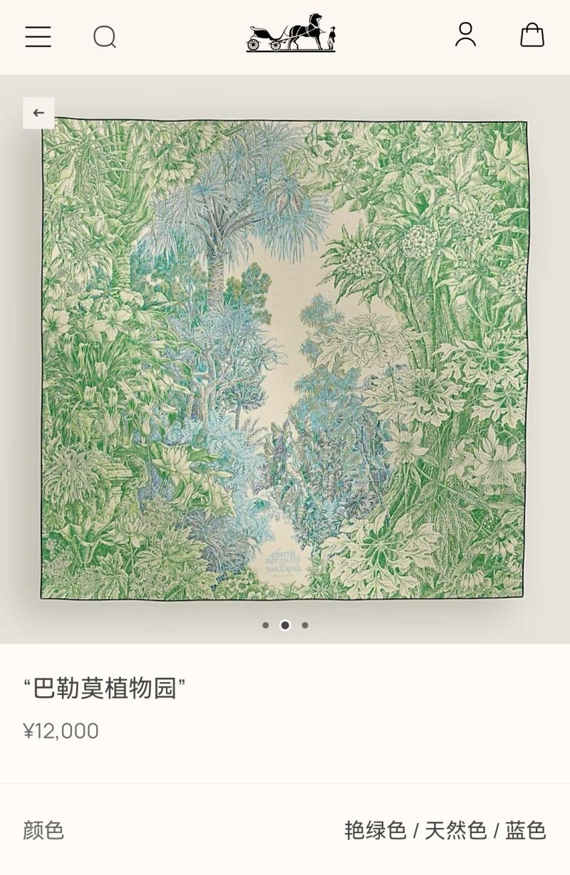Hermes Scarf Tailored 271629