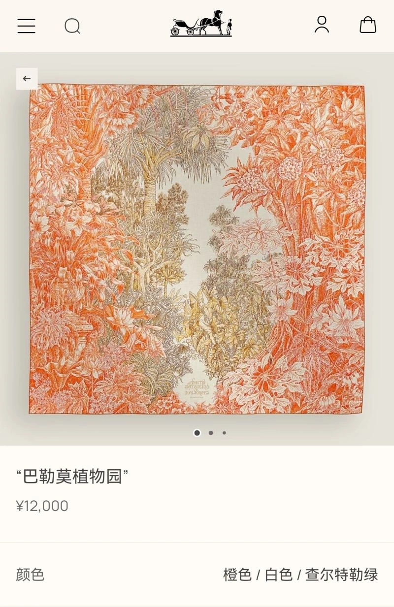Sleek Hermes Scarf 271630