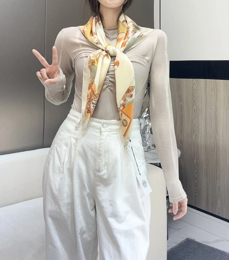 Hermes Scarf Snug 271634