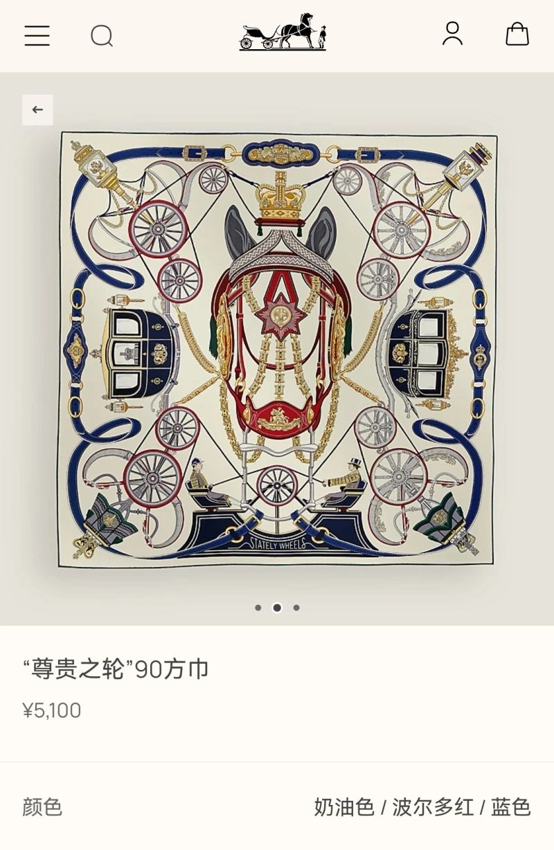 Hermes Scarf TopPick 271616
