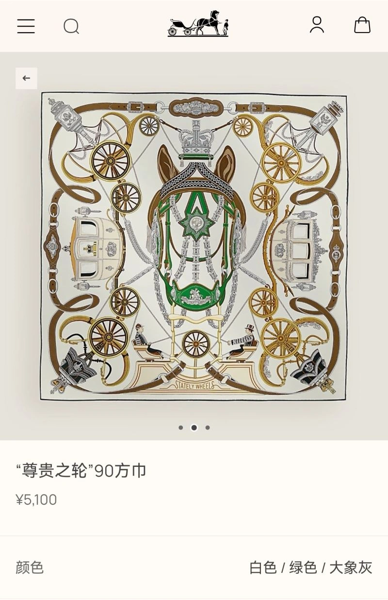 Hermes Scarf WeatherProof 271614