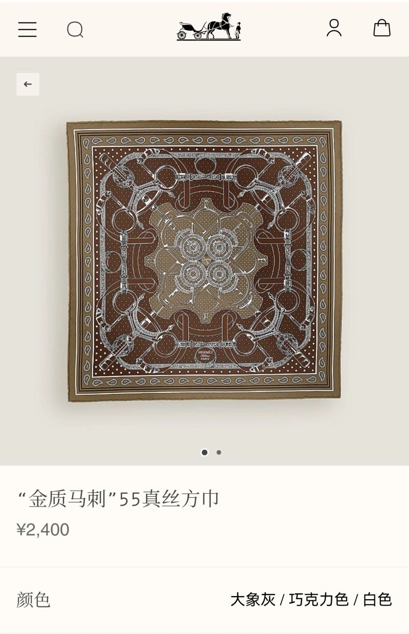 Sophisticated Hermes Scarf 271591