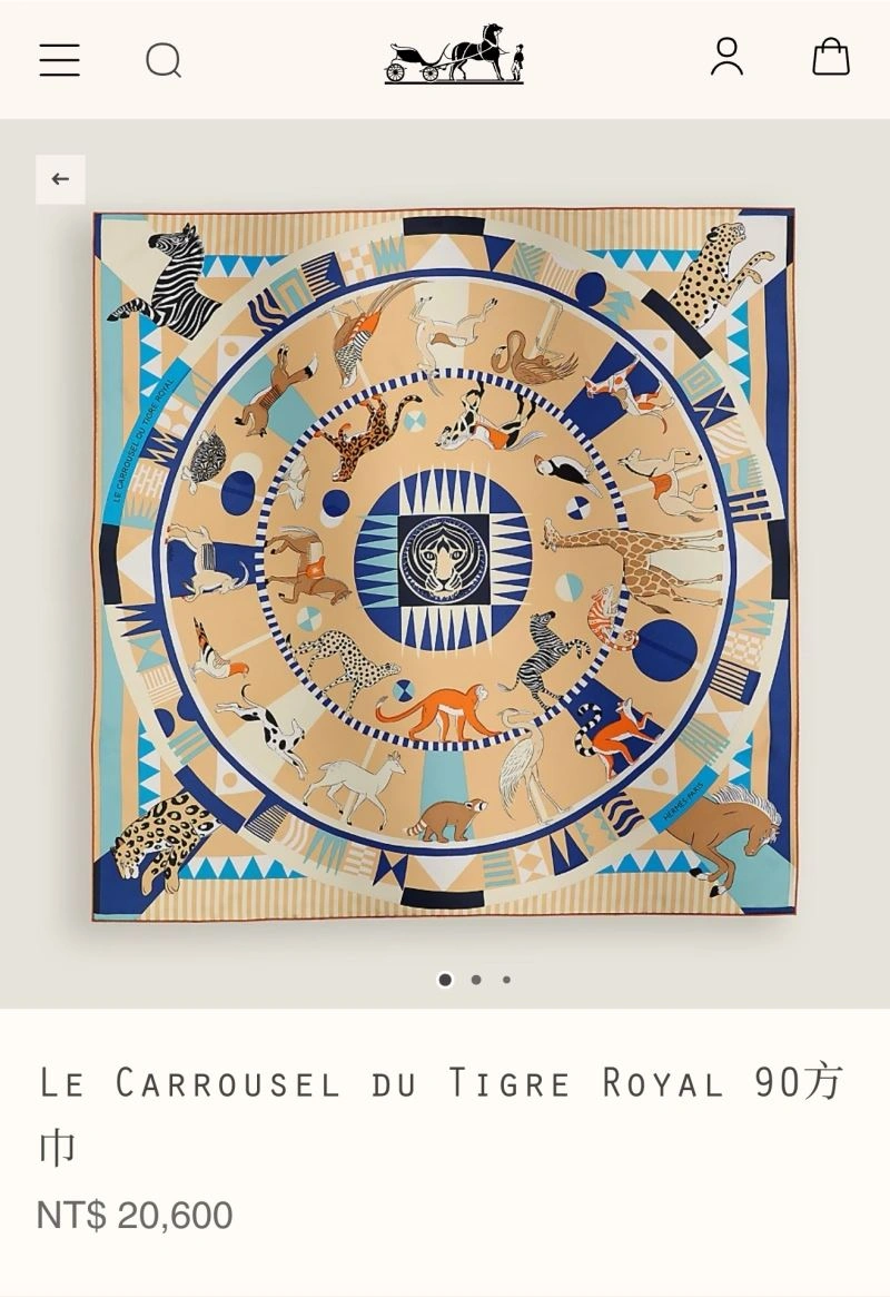 Hermes Scarf Practical 271592