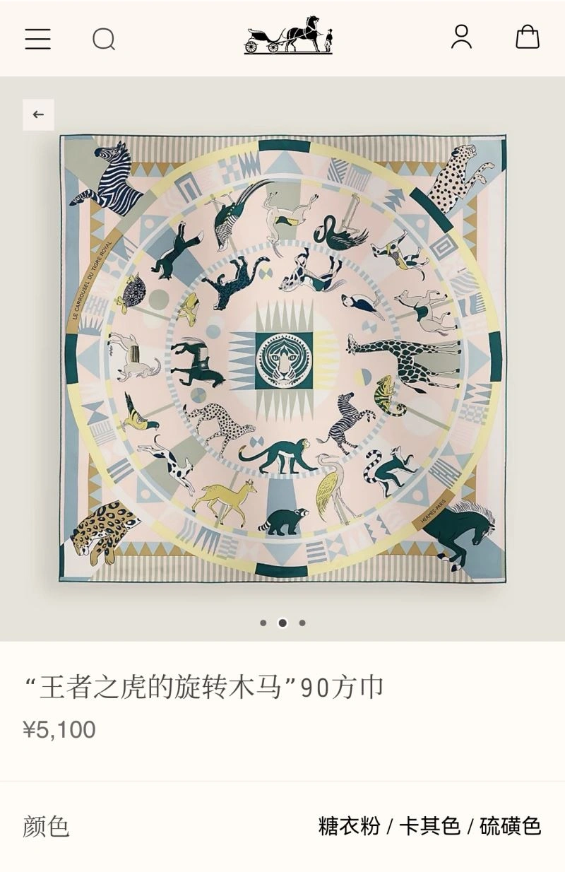 Hermes Scarf Sophisticated 271590