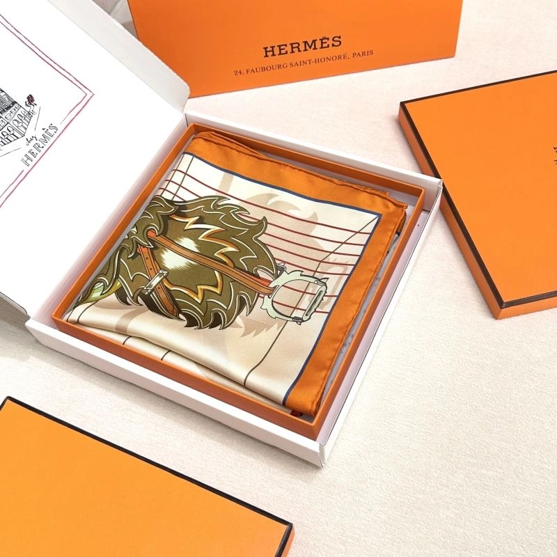 Hermes Scarf Supportive 271581