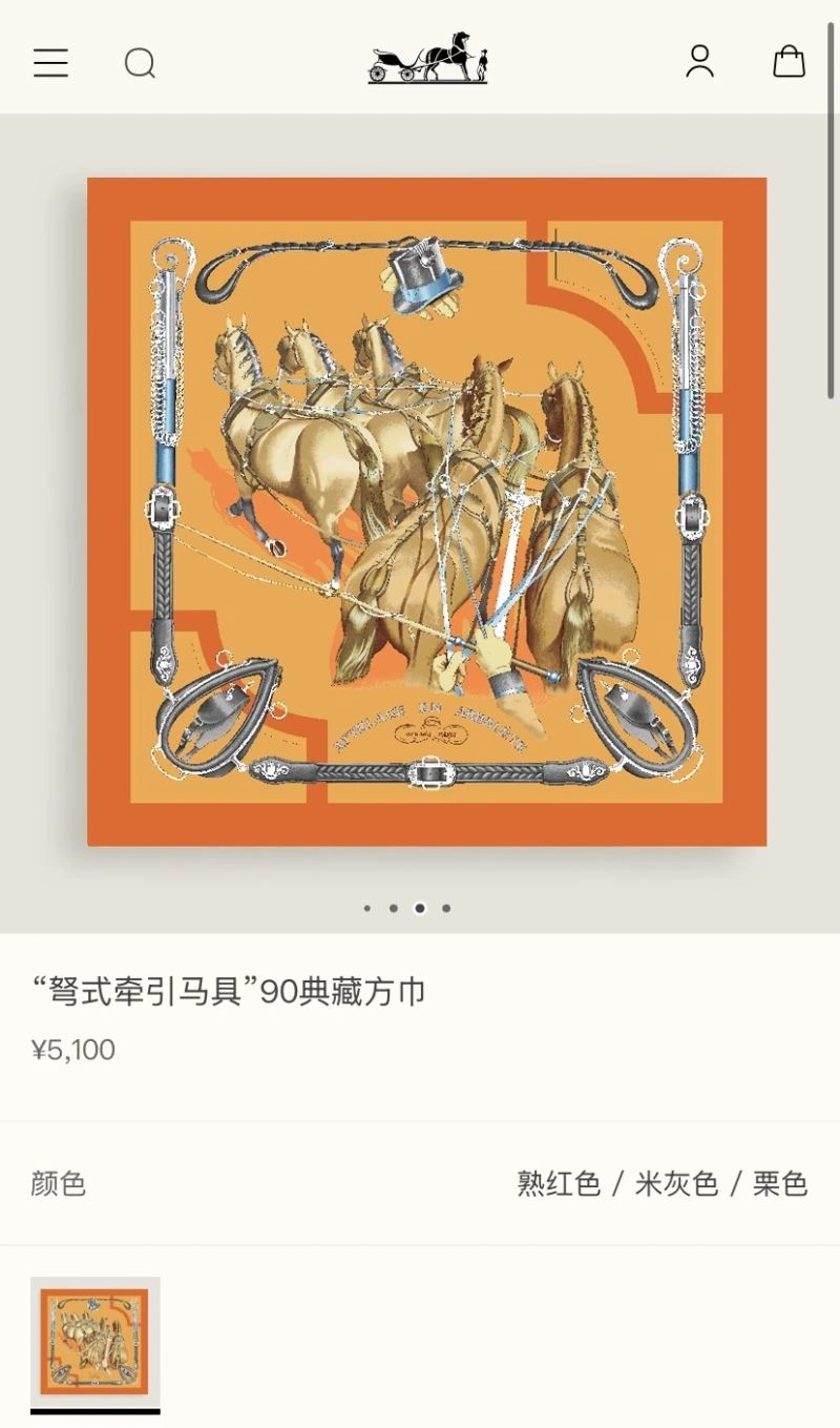 Hermes Scarf Versatile 271524