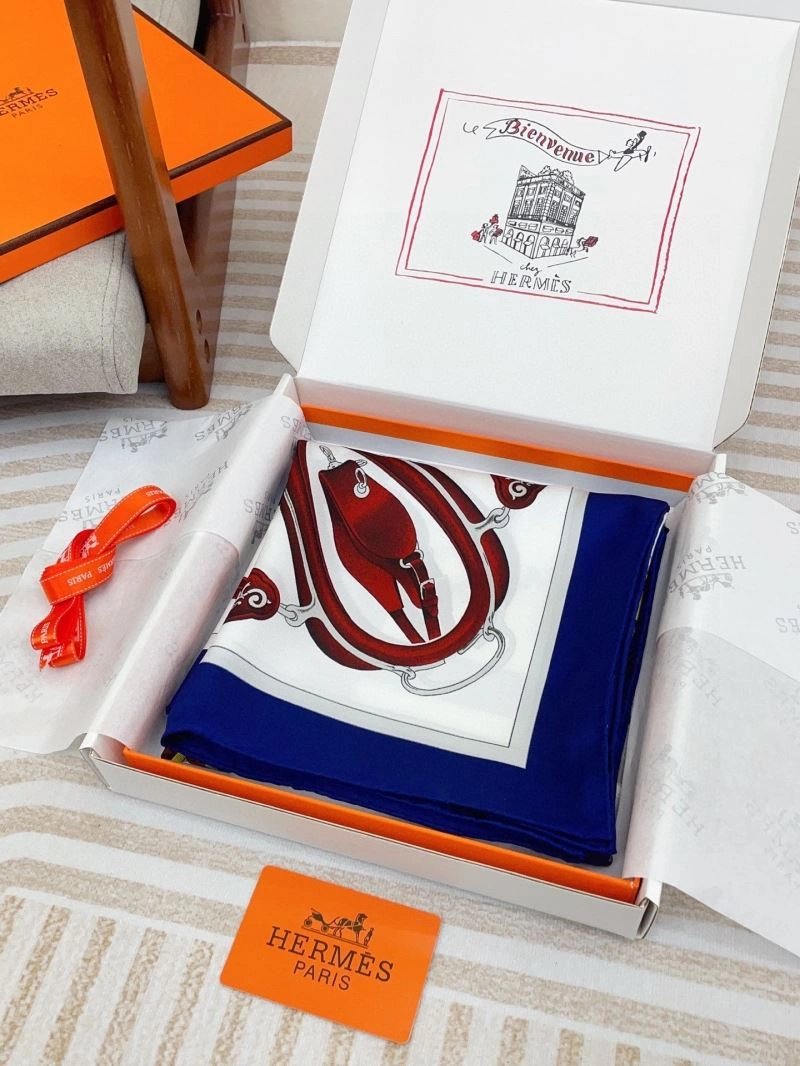 Hermes Scarf WeatherProof 271523