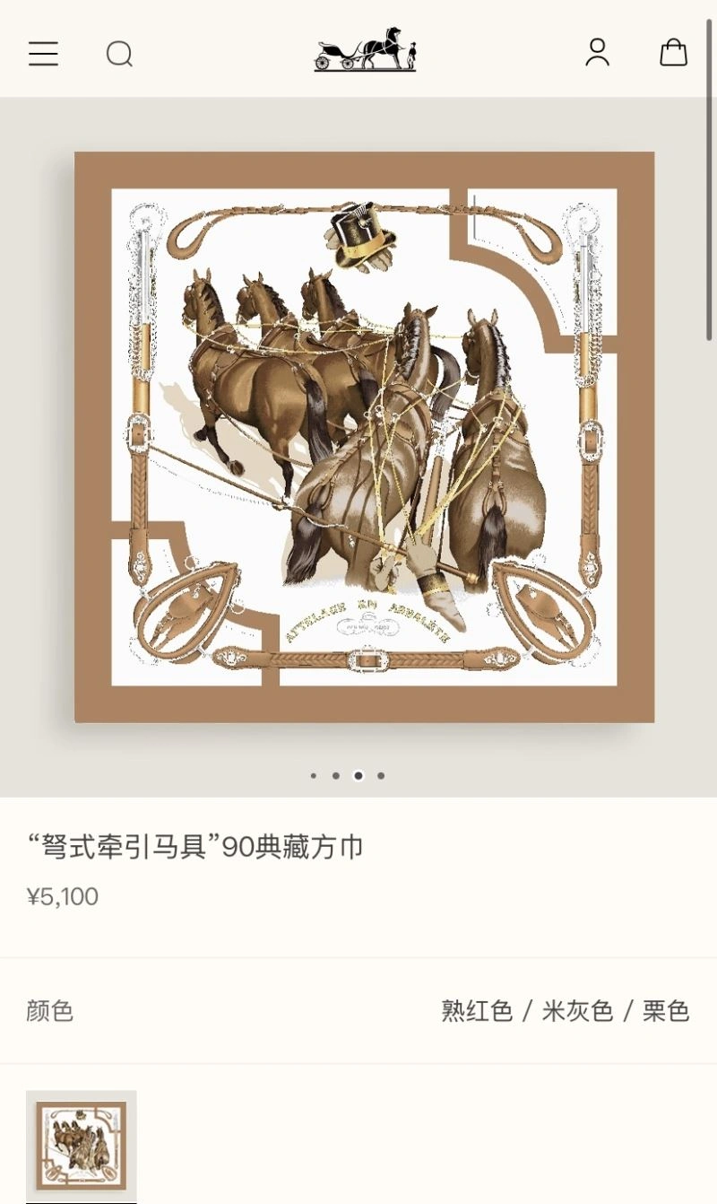 Practical Hermes Scarf 271522