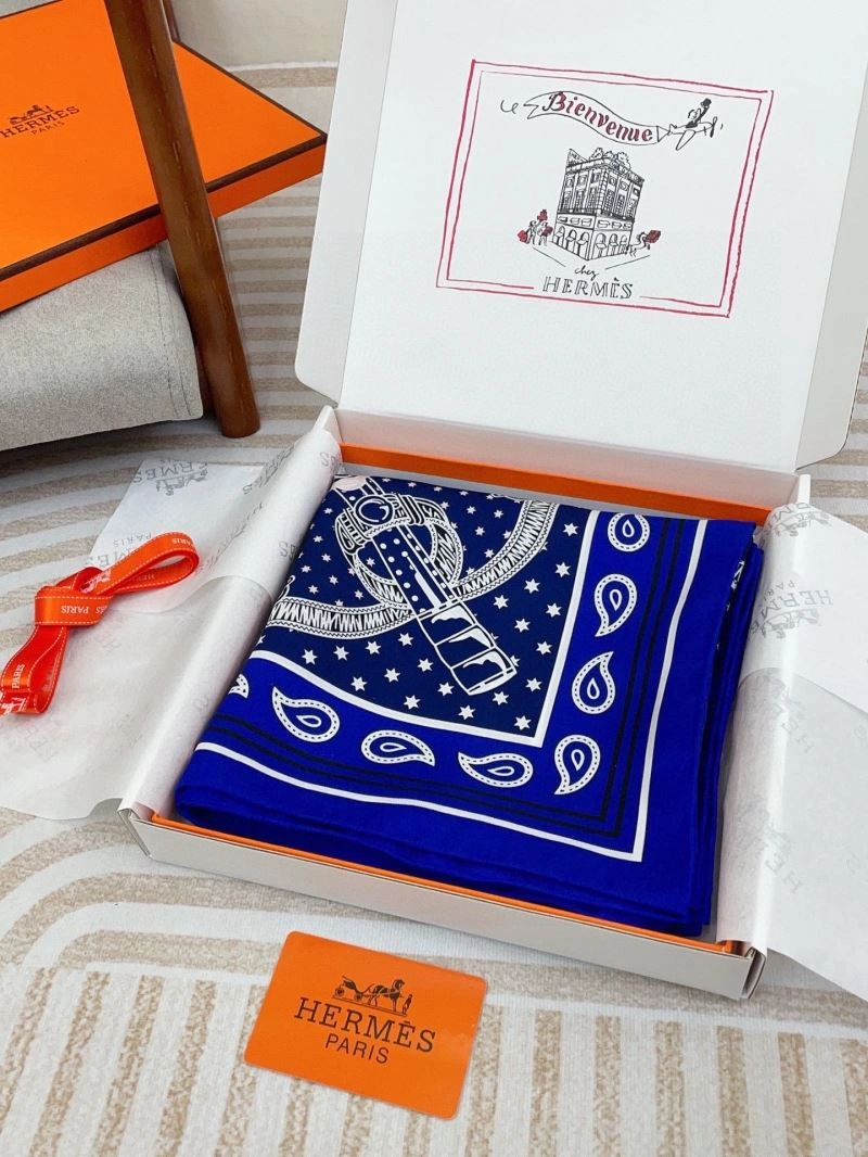 Hermes Scarf Durable 271501