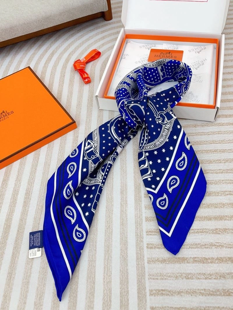 Hermes Scarf Durable 271501