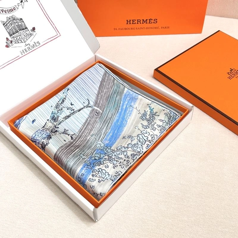 Hermes Scarf Resilient 271519