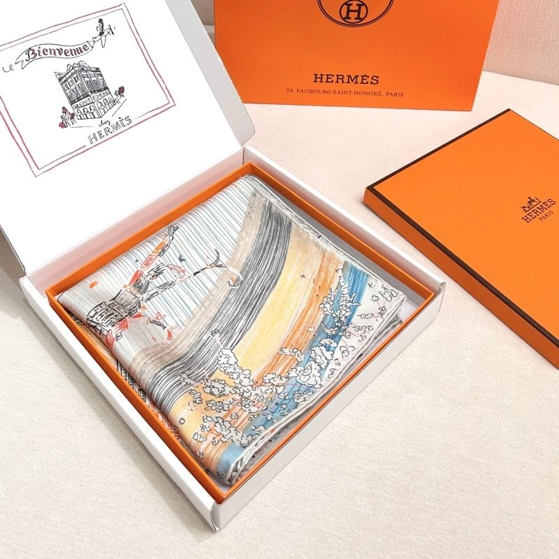 Hermes Scarf DailyWear 271521
