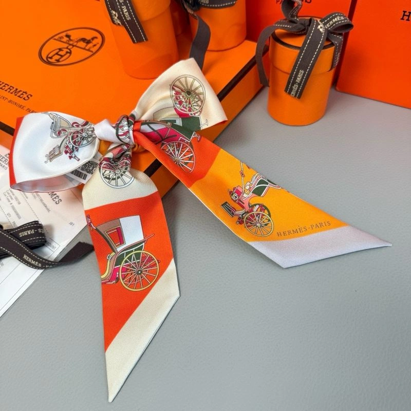 Hermes Silk TravelReady 272272