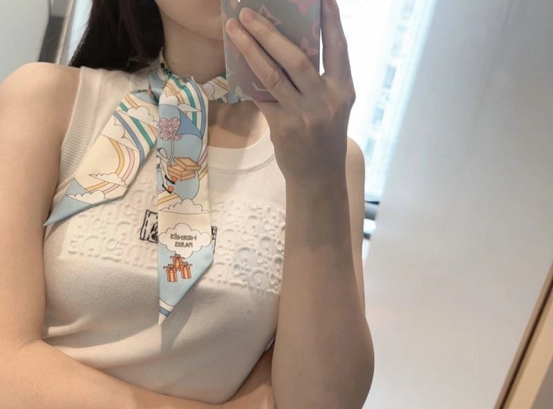 Hermes Silk Practical 272253