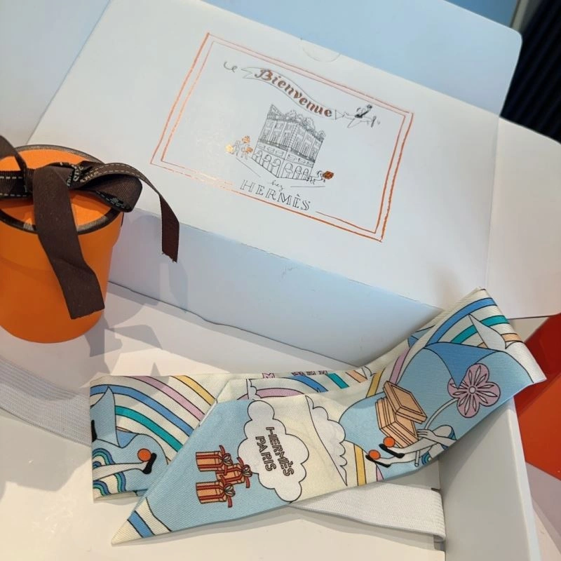 Hermes Silk Practical 272253