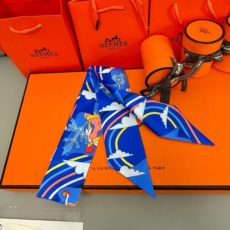 Hermes Silk Functional 272248