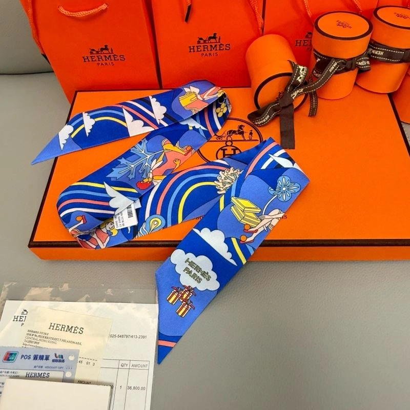 Hermes Silk Functional 272248