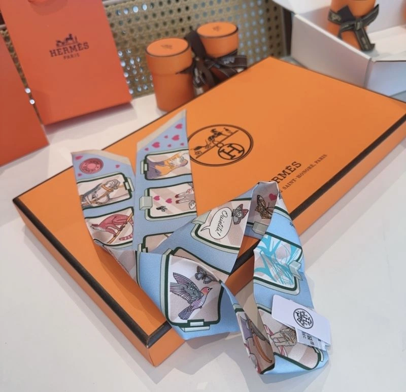 Hermes Silk Functional 272213