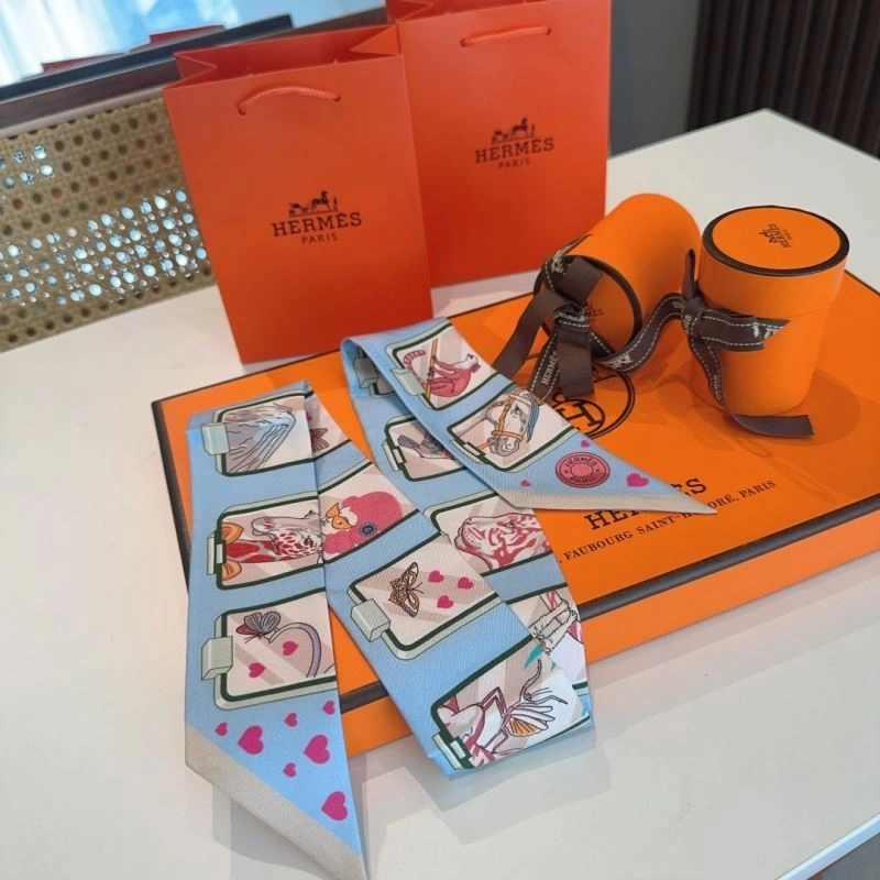 Hermes Silk Functional 272213